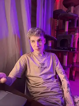 davesinnern Webbikameraesitys