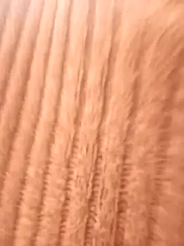 nolan-00 Pertunjukan Webcam