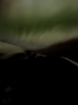 Dilkash77719 Show Webcam