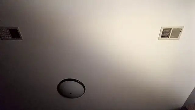 Show webcam de chrisw8140