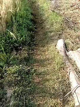 Show de webcam de Hot_sexy_Monika