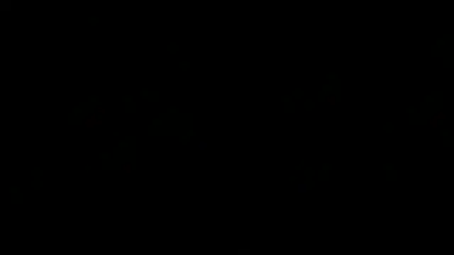 SoyOceanne Live XXX-Chat