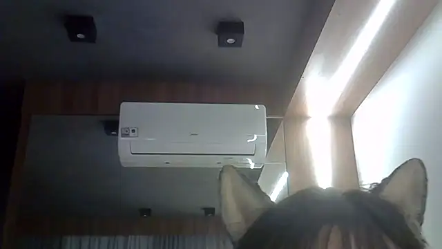 Chat XXX Live SkinnyKitten