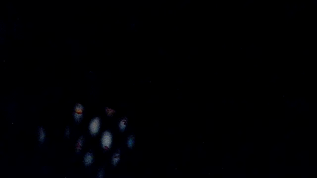 RawRyder8: διαδικτυακό σόου στην κάμερα