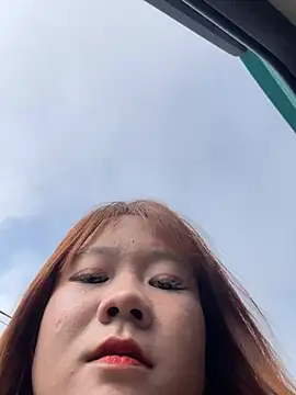 Liness101n Webbikameraesitys