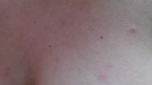 DaliaHaven Live XXX-chat