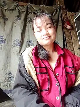 Noelle-e 网络视讯表演