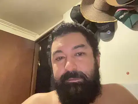 holagato22: вебкам-шоу