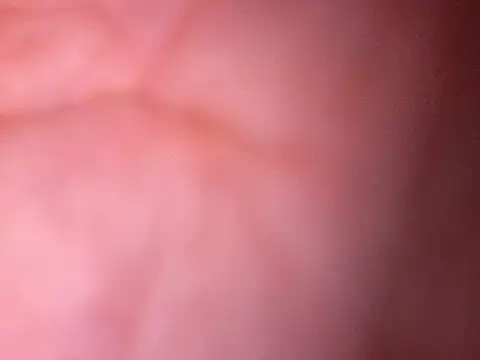 Ansiasexのウェブカメラショー