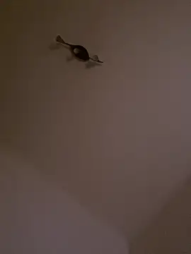 Show modela bursars na web-kameri