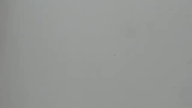 Chat XXX ao vivo de VioletRose_as