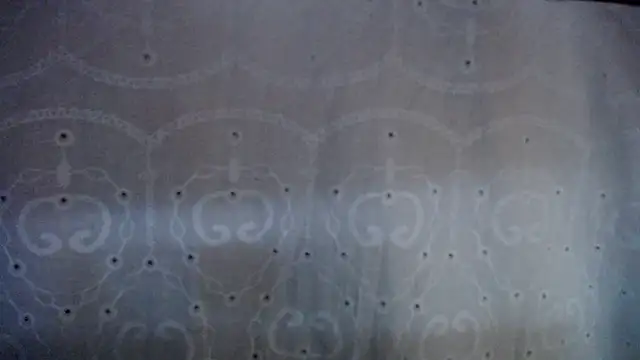 Malaya88 라이브 XXX 채팅