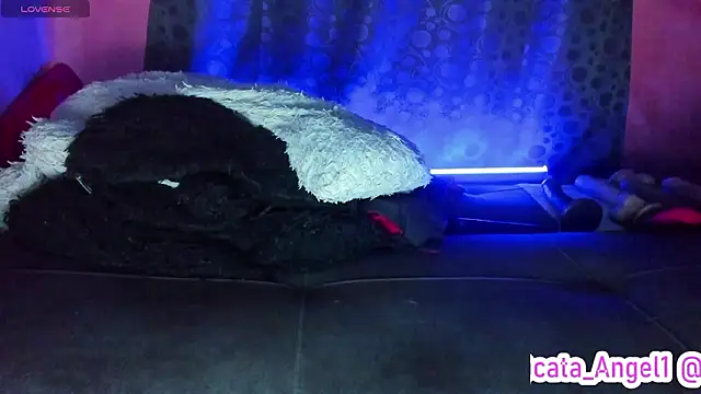 Cata-angel 现场XXX聊天