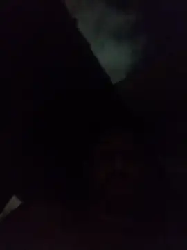 nicedick_bro Live XXX-chat