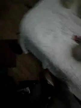 Show modela Edu235 na web-kameri