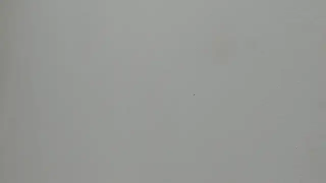 VioletRose_as Live XXX-Chat