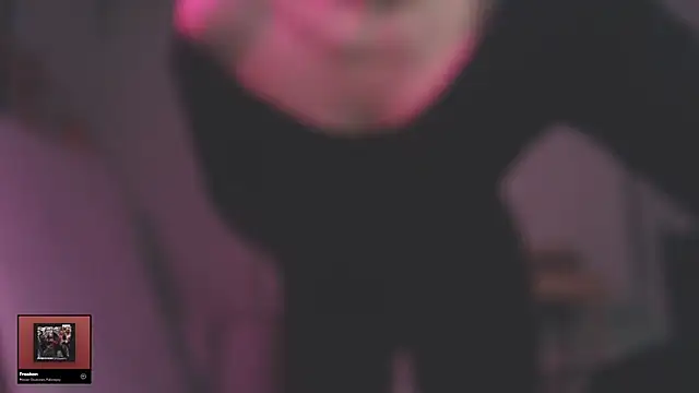 Show webcam de modjo_