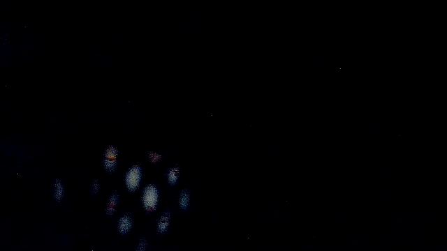 RawRyder8 – Kamerová šou