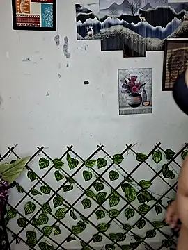 Noor-Bold Obrolan Langsung XXX