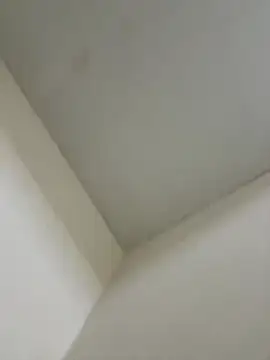 Masturbarseenvivo Show in webcam