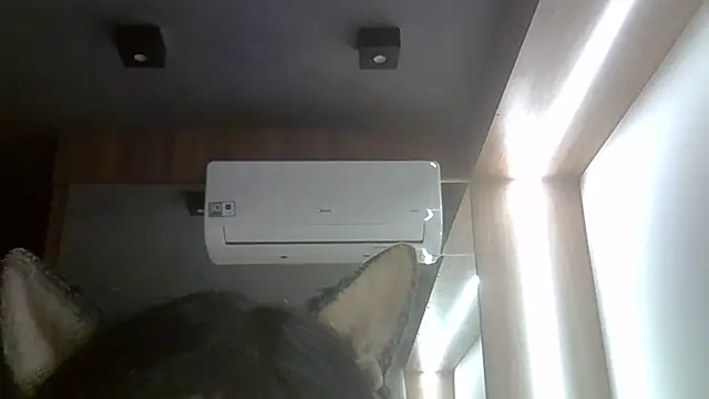 Show de SkinnyKitten na webcam