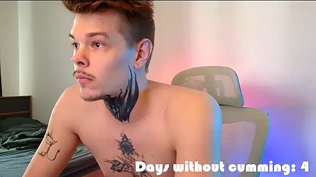 Pertunjukan Kamera Web DENIS_HERE