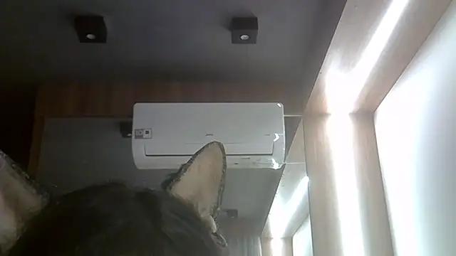 SkinnyKitten Adlı Modelin Canlı XXX Sohbeti