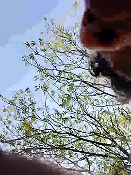 blackbeauty321 Webcam Show