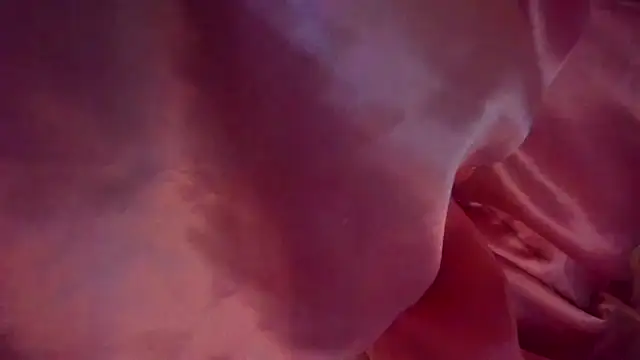 دردشة violetadumsper الجنسية المباشرة