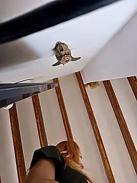 kylie_blckのライブXXXチャット