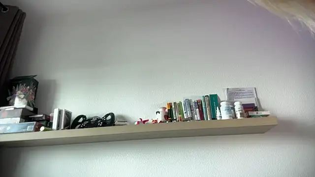 Chatroom XXX en direct de HirokoMassengills