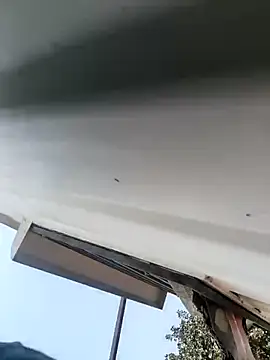 Bengal_Tiger420: διαδικτυακό σόου στην κάμερα