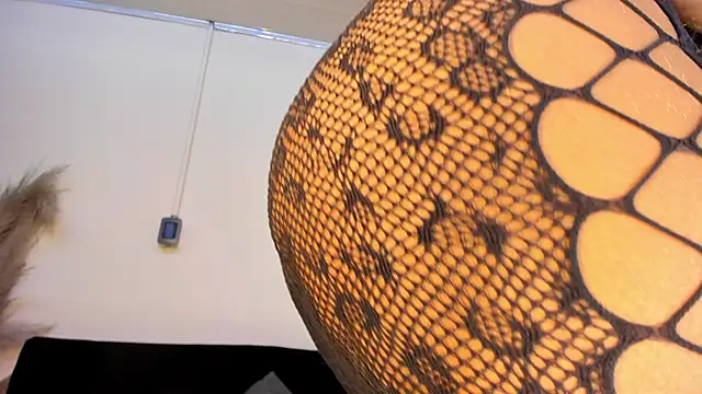 Tylla__n Webbikameraesitys