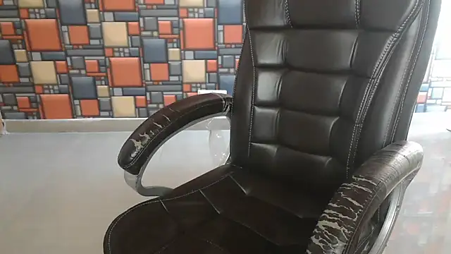 Yanshi55 Show Webcam