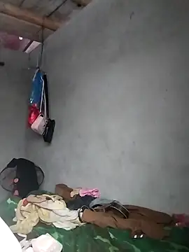 Hoa-tuylip Webcam Show