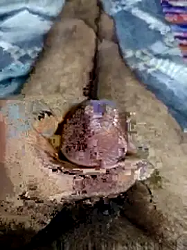 โชว์เว็บแคมของ 88zaifkhan88