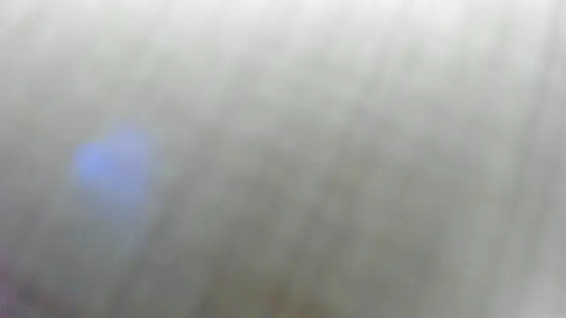 AishaRouhi: διαδικτυακό σόου στην κάμερα