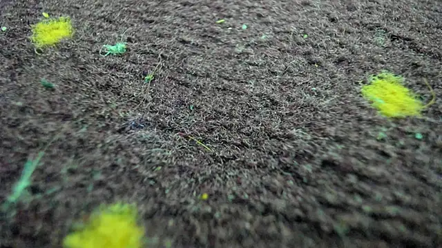 Czat XXX na żywo – AishaRouhi