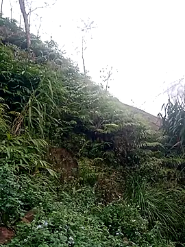 jackkk0011 Pertunjukan Webcam