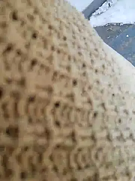 Sembang XXX Secara Langsung curvycloe1