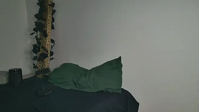 JackDesFeux Webcam-Show