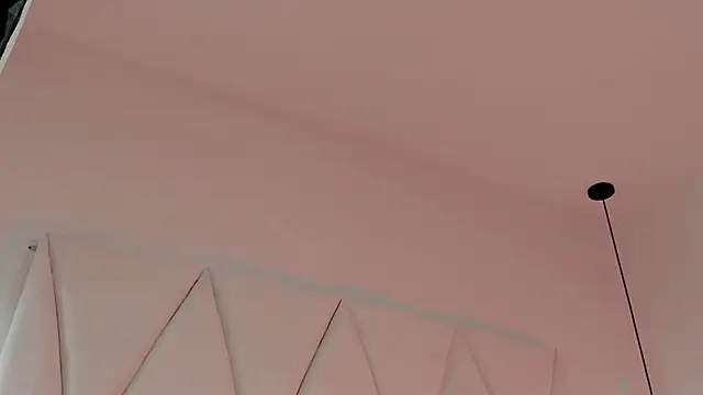 TonyPetrovjsn Webbikameraesitys