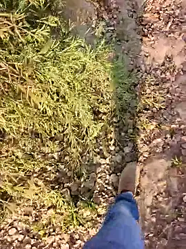 XXX chat uživo modela xmanrawan2