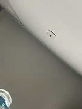 SilvaGF229's Webcam Show