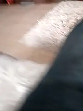 Chat XXX en directo de fitilul