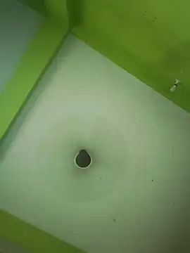 06Rozi: вебкам-шоу