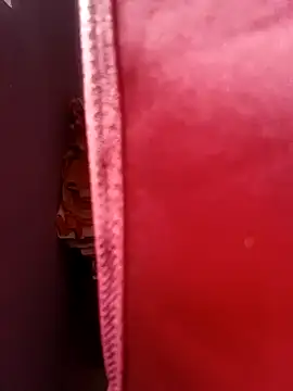 Show de webcam de desicpl26