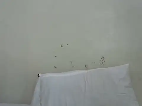 Chat XXX Live Rasta_tattooed