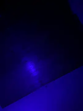 Petebulimia's Live XXX Chat