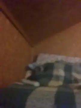 Ldnick69n Live XXX chat